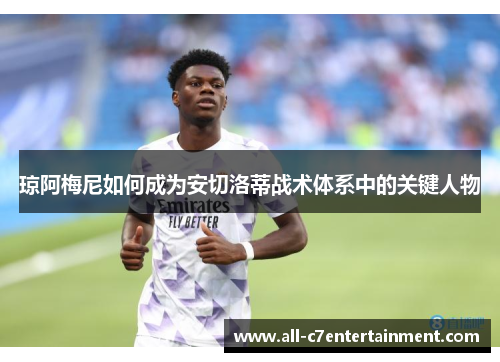 琼阿梅尼如何成为安切洛蒂战术体系中的关键人物 琼阿梅尼如何成为安切洛蒂战术体系中的关键人物