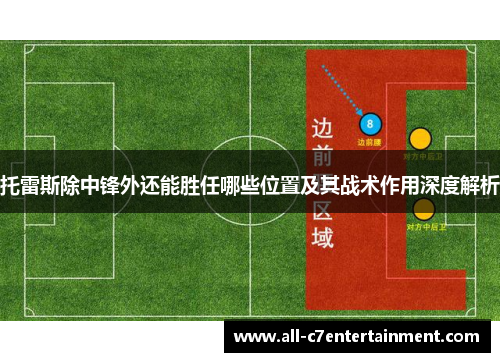 托雷斯除中锋外还能胜任哪些位置及其战术作用深度解析 托雷斯除中锋外还能胜任哪些位置及其战术作用深度解析