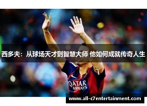 西多夫:从球场天才到智慧大师 他如何成就传奇人生 西多夫:从球场天才到智慧大师 他如何成就传奇人生