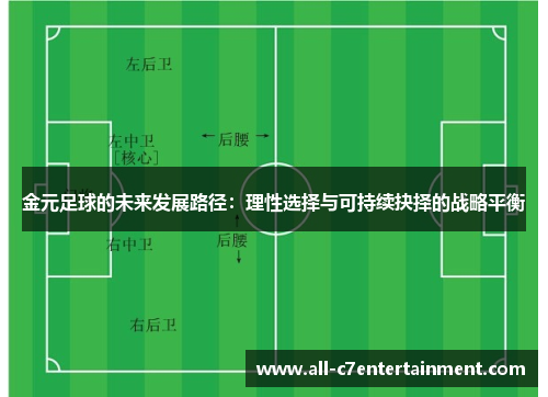 金元足球的未来发展路径:理性选择与可持续抉择的战略平衡 金元足球的未来发展路径:理性选择与可持续抉择的战略平衡